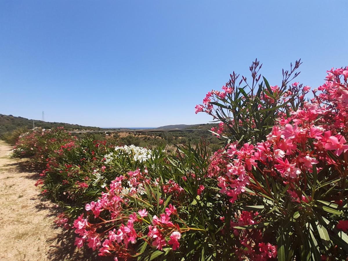 Sole&Sale Bed & Breakfast San Teodoro  Exterior photo