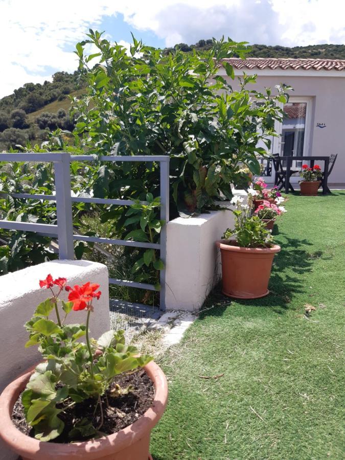 Sole&Sale Bed & Breakfast San Teodoro  Exterior photo