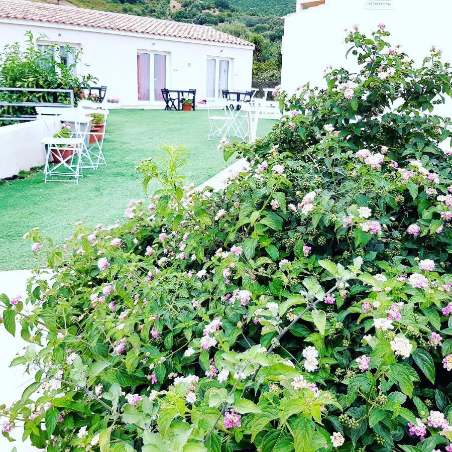 Sole&Sale Bed & Breakfast San Teodoro  Exterior photo