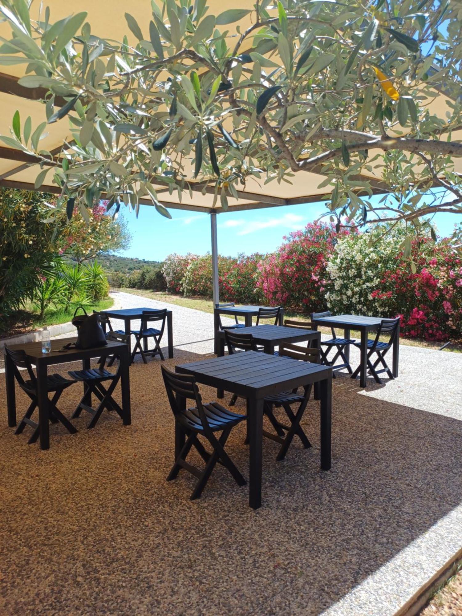 Sole&Sale Bed & Breakfast San Teodoro  Exterior photo