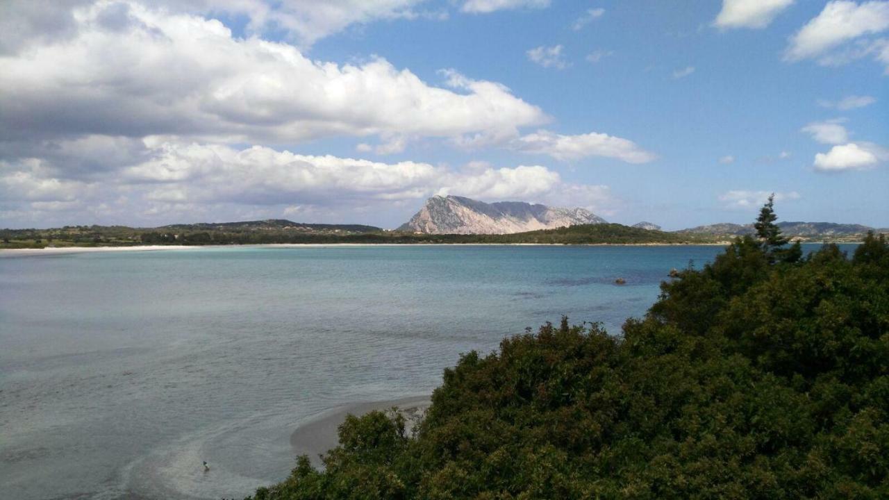 Sole&Sale Bed & Breakfast San Teodoro  Exterior photo